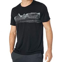 Icebreaker Merino Men's Tech Lite Short Sleeve Crewe Pyrenees Athletic T Shirts, Large, Black 10